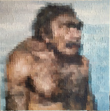 Neandertal